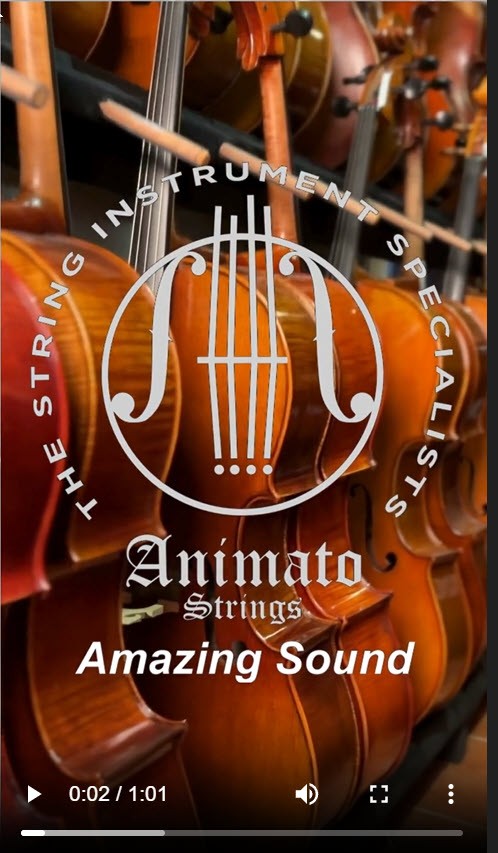 Animato Song